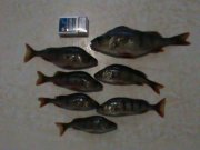 DSC00165.JPG