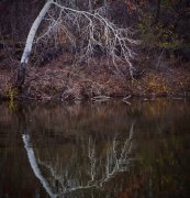 IMG_1054_resize.jpg