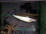 20121110_130940.jpg
