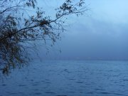 SDC16984.JPG