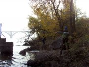 SDC17022.JPG