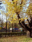SDC17026.JPG