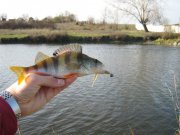 IMG_3102.JPG