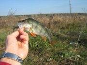 IMG_3109.JPG