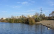 IMG_1244_1_1.jpg