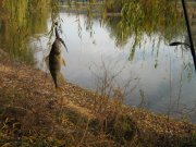 IMG_3119.JPG