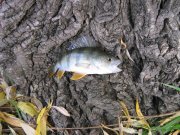 IMG_3123.JPG