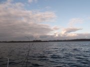 DSCF7005.jpg