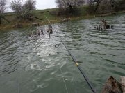 DSC00484.JPG