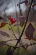 IMG_1120.jpg