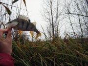 IMG_3130.JPG