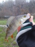 DSC01335.JPG