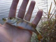DSC00168.JPG