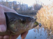 DSC00169.JPG