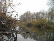 IMG_3148.JPG