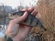 DSC00178.JPG