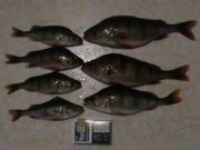 DSC00182.JPG