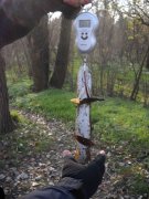 Pike_weighted.jpg