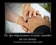 1352721121_demotivatory_24.jpg