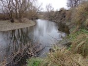 DSC00546.JPG