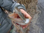 DSC00543.JPG