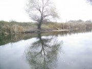 21.11-1.jpg