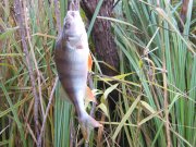IMG_3163.JPG