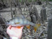 IMG_3168.JPG
