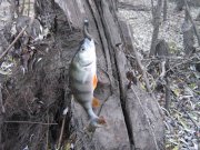IMG_3170.JPG