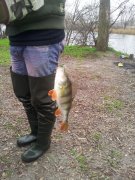 20121124_120931.jpg