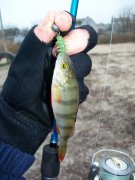 100_4142.JPG
