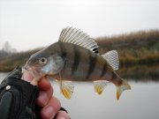 DSCN0492.JPG