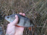 DSC00183.JPG