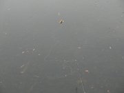 25112012_12.JPG