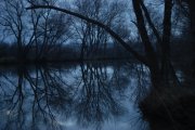 DSC_3732.JPG