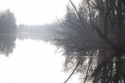 DSC_3736.JPG