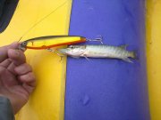 241020122922.jpg