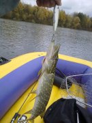 241020122928.jpg