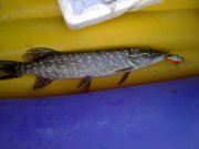 201020122896-1.jpg