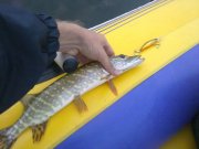 290920122794.jpg