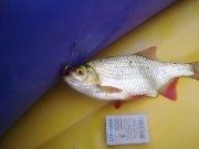 090720122402.jpg
