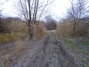 DSC00630.JPG