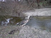 DSC00633.JPG