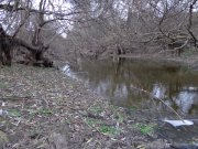 DSC00634.JPG
