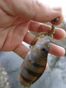 DSC00644.JPG