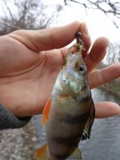 DSC00646.JPG