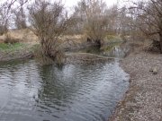 DSC00648.JPG