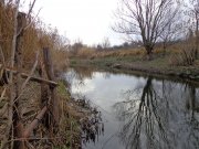 DSC00650.JPG