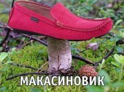 макасиновик.jpg