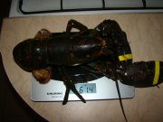 DSC04885.JPG